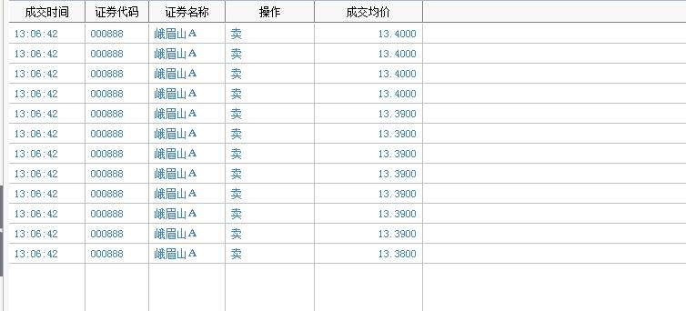 005卖出峨眉山.jpg